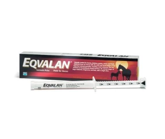 אקווילן פסטה חום תילוע לסוס - Eqvalan Horse Paste - אשל שירותים וטרינרים